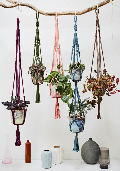 Breng kleur in je huis met deze DIY macramé plantenhanger | Seasons Macrame Decor Ideas, Plant Holder Diy, Macrame Hanging Planter, Tin Can Crafts, Rainbow Connection, Macrame Plant Holder, Pot Hanger, Macrame Hanger, Macrame Hanging