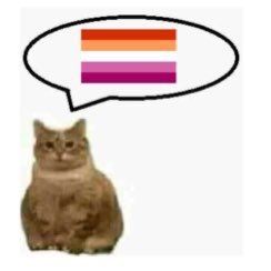 Shin Nana, Lesbian Flag, Lesbian Art, Gay Memes, Mia 3, Silly Images, Silly Me, Silly Cats, Reaction Pictures