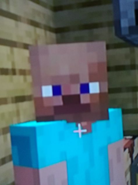 Cursed Minecraft, Funny Pfps, Minecraft Steve, Really Funny Pictures, Really Funny, Minecraft, Funny Pictures, Funny, Quick Saves