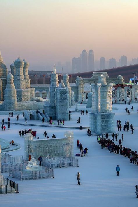 Check out "Harbin International Ice and Snow Sculpture Festival" in China China Scenery, Ice City, Festivals In China, Ice Festival, Ice Palace, Snow Sculptures, Ice Sculpture, Winter Festival, Travel Asia