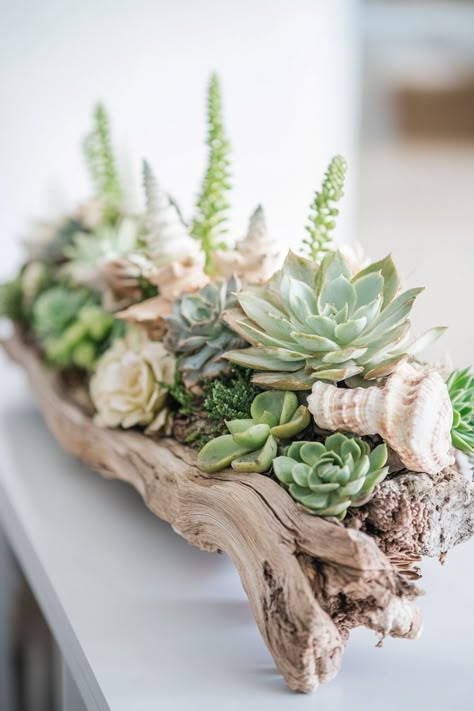 Bring the calming essence of coastal decor into your home with Succulent Driftwood Arrangements! Discover 10 inspiring ideas to liven up your space using these unique, sustainable arrangements. Succulents not only add a touch of greenery but also enhance your indoor air quality. Whether you're a novice or an experienced gardener, these coastal decor tips will elevate your interior design. Dive into the world of succulent driftwood arrangements and transform your living space today! Don't miss the chance to create a serene, eco-friendly atmosphere. #CoastalDecor #SucculentArrangements Succulents In Driftwood, Succulents And Driftwood, Driftwood With Succulents, Dough Bowl Succulent Centerpiece, Coastal Succulent Garden, Unique Succulent Arrangements, Driftwood Centerpiece Ideas, Driftwood Flower Arrangements, Fall Succulent Arrangements