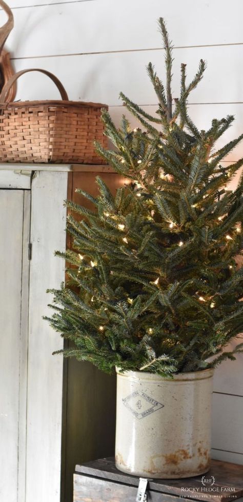 Natal Country, Natal Natural, Rustic Farmhouse Christmas, Small Christmas Tree, Farmhouse Christmas Tree, Country Christmas Decorations, Christmas Tablescape, Natural Christmas, Farmhouse Christmas Decor