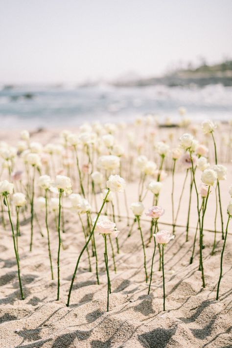 Esperanza Resort Cabo Wedding Modern Beach Wedding Ceremony, Ceremony On The Beach, Beach Wedding Ceremony Flowers, Beach Wedding Bar, Flowers On Beach, Beach Ceremony Decor, Minimal Beach Wedding, Flowers In Sand, Beach Florals