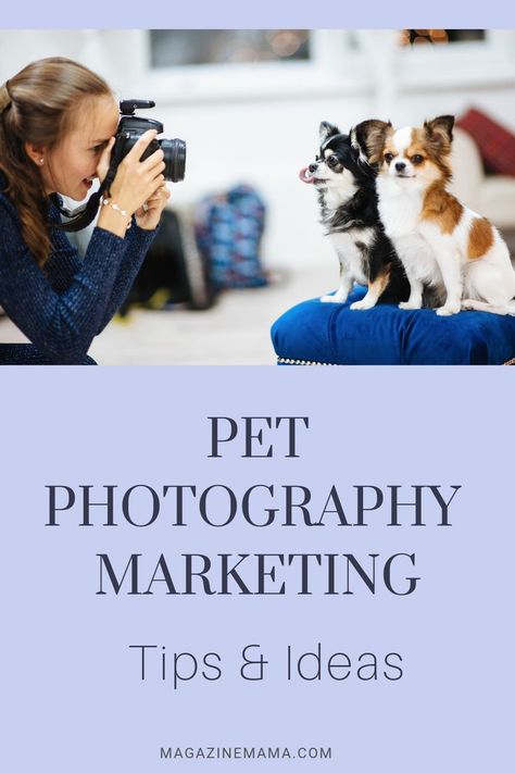 Birth Photography Tips, Pet Photography Ideas, Pet Photography Props, Maternity Photography Tips, Pet Photography Business, Pet Photography Poses, Pet Photography Tips, Animal Photoshoot, Newborn Photography Poses