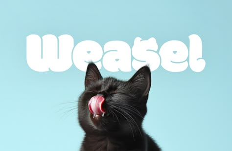 Weasel, Cats food Brand Identity :: Behance Food Brand Identity, Company Website Design, Pet Branding, Graphic Design Newspaper, Cat Logo Design, Cats Food, Website Design Agency, Cat Food Brands, Graphic Design Jobs