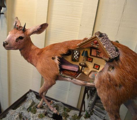 Diorama Art, Deer Doll, Manic Pixie Dream Girl, Taxidermy Art, Halloween Inspiration, Taxidermy, Gingerbread House, Bird House, Gingerbread