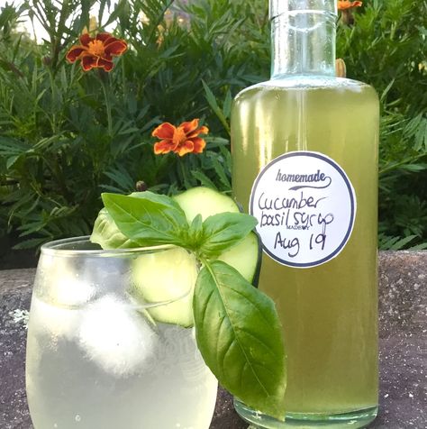 If your garden produces more cucumbers than you can eat, make this cucumber-basil syrup for a variety of cocktails. Cucumber Simple Syrup Recipe, Basil Syrup Recipe, Cucumber Simple Syrup, Basil Syrup, Best Martini Recipes, Drink Mixers, Pesto Pasta Bake, Spinach Basil Pesto, Basil Simple Syrup