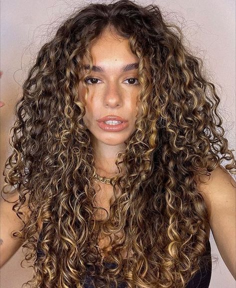 Honey Brunette Curly Hair, Natural Highlights For Curly Hair, Accent Highlights Curly Hair, Curly Hair Highlights Brunettes, 3b Curly Hair With Highlights, Curly Hair With Golden Highlights, Light Brown Permed Hair, Little Bit Of Highlights In Brown Hair, 3b Curly Highlights