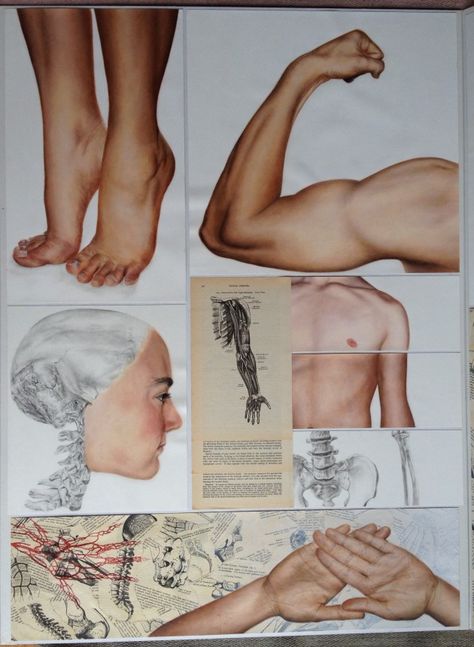 'The Essence Of' - An A* project by Alice Ham from ACG Parnell College Student Art Guide, Sketchbook Layout, Human Body Art, Art Alevel, Gcse Art Sketchbook, A Level Art Sketchbook, Human Body Parts, The Rocky Horror Picture Show, Gcse Art