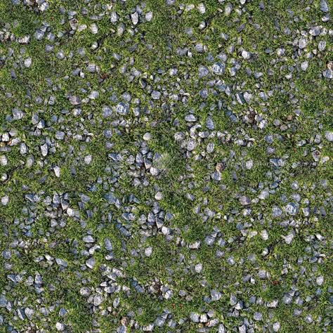 Pebbles with grass texture seamless 20467 Gravel Texture Seamless, Grass Texture Seamless, Gravel Texture, Grass Texture, Flooring Texture, Pebble Floor, Nature Elements, Stone Photography, Pocket Park