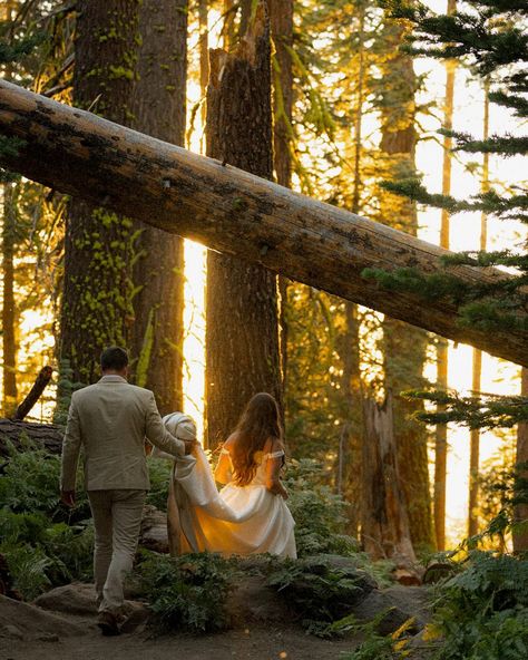 I will follow you anywhere. Love can take us all to some crazy places, & it took Kortney & Marcus to the ends of the earth this week. Their Yosemite wedding was epic, sweet, and full of a stillness and peace that it truly was meant. to. be. The two hosted us all at the incredible @autocamp Yosemite property, which doubled as the most perfect venue as well as lodging accommodations in many different forms. Between the wildlife roaming the grounds & the live music in the evenings, the energ... Autocamp Yosemite, Crazy Places, Yosemite Wedding, Ends Of The Earth, Follow You, Of The Earth, Love Can, Live Music, The Earth