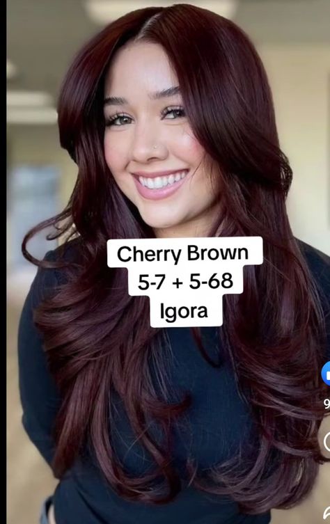 Wine Red Hair Formula, Red Hair For Light Skin Tones, Cherry Brown Hair Formula, Red Hair On Asian, Wella Reds Formula, Cherry Cola Hair Color Formula, Cherry Wine Hair, Cherry Brown Hair Color, Dark Cherry Red Hair