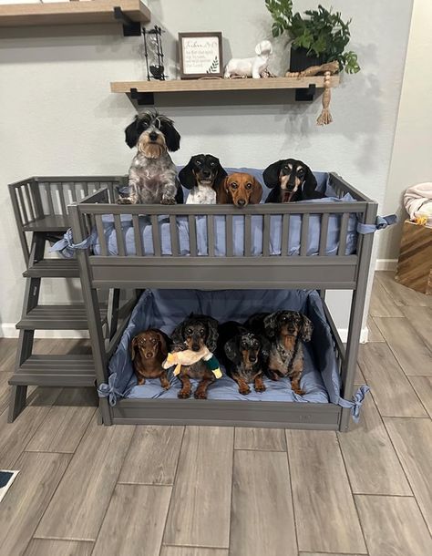 Bunk Bed For Dogs, Pet Bunk Bed, Dog Bunk Beds, Dog Nook, Dog Room Decor, Custom Dog Beds, Dog Room, Diy Dog Bed, Animal Room