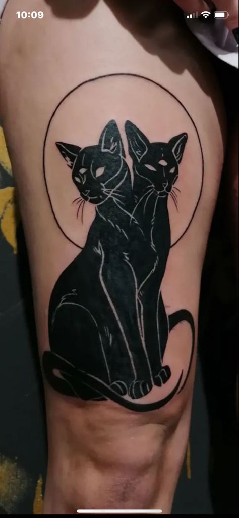 Trad Black Cat Tattoo, Large Black Cat Tattoo, Cat With Three Eyes Tattoo, Three Headed Cat Tattoo, 2 Headed Cat Tattoo, 3 Eyed Cat Tattoo, Goth Cat Tattoo, Two Headed Cat Tattoo, Two Headed Tattoo