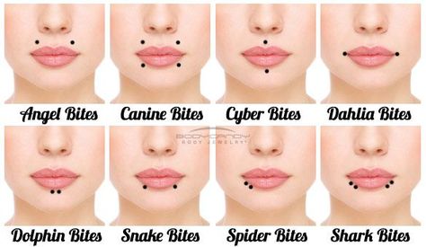 100 Snake Bites Piercing Ideas, FAQs (An Ultimate Guide 2018) Piercings Corps, Snake Eyes Tongue Piercing, Snake Bites Piercing, Body Candy Jewelry, Piercing Guide, Snake Bite Piercing, Cheek Piercings, Spider Bite Piercing, Double Tongue Piercing