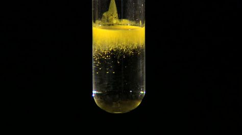 Lead iodide precipitate, formed as potassium iodide is dripped into lead nitrate solution Potassium Iodide, Clear Liquids, Chemical Reactions, Science Art, Bright Yellow, Beer Mug, White Wine, Beer Glasses, Color Change