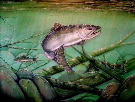 Chinook Salmon - Quist Art Studio - Paintings & Prints, Animals, Birds, & Fish, Aquatic Life, Fish, Freshwater Fish - ArtPal Salmon Art, Trout Painting, Fish Freshwater, Chinook Salmon, Fish Artwork, Underwater Painting, Sea Life Art, Aquatic Life, Fishing Women