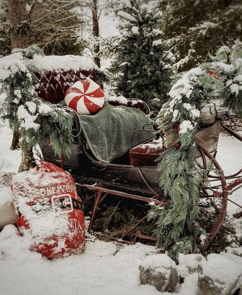 Christmas Indoor Photoshoot, Bell Garland, Sleigh Christmas, Christmas Farm, Christmas Sleigh, Diy Christmas Cards, Christmas Porch, Christmas Vintage, Christmas Mood