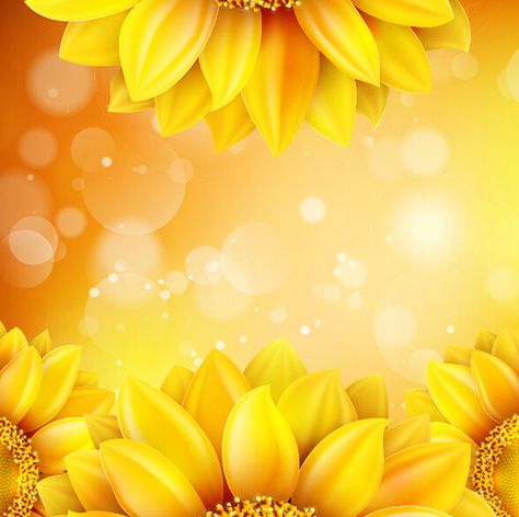 Sunflower flower with bokeh vector background 16 Sun Flower Background, Yellow Flower Background, Yellow Prints, Background Sunflower, Sunflower Background, Yellow Flower Print, Sunflowers Background, Background Template, Sunflower Tattoo Design