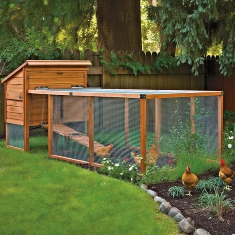 House With Plants, Natural Farmhouse, Chicken Coop Garden, Backyard Chicken Coop Plans, Backyard Chicken Farming, Coop Design, Happy Farm, Yoga Burn, Chicken Coop Designs