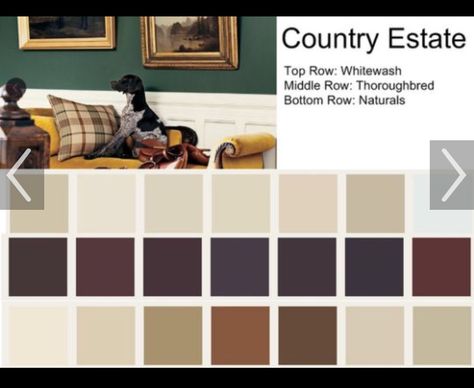 Ralph Lauren Paint Colors, Rustic Paint Colors, Rustic Paint, Ralph Lauren Paint, Rustic Photography, Farmhouse Patio, Paint Color Chart, Rustic Shower, Rustic Porch