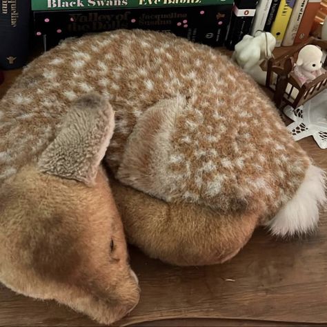 deer fawn doe doll coquette waif assthetic nymphette lolita Fawn Stuffed Animal, Sullen Girl, Fawn Plush, Deer Stuffed Animal, Deer Plush, Apple Core, Deer Girl, Deer Doll, Fiona Apple