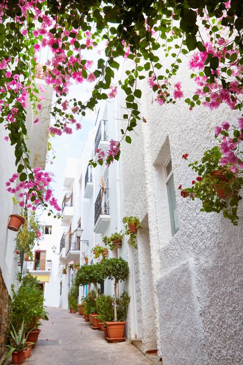 Mojacar almeria blanco pueblo mediterran... | Premium Photo #Freepik #photo Ronda Spain, Andalucia Spain, Find Instagram, Perfect Itinerary, Flowering Vines, Andalusia, Beautiful Places To Travel, Beautiful Buildings, Malaga