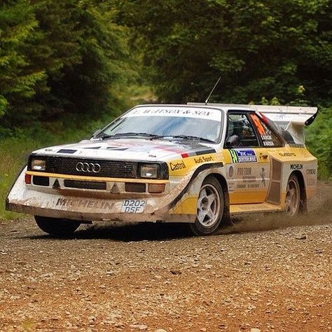 Pajero Off Road, Audi Quattro S1, Rally Car Racing, Road Race Car, Toyota Supra Mk4, Trophy Truck, Volkswagen Group, Off Road Racing, Old Race Cars