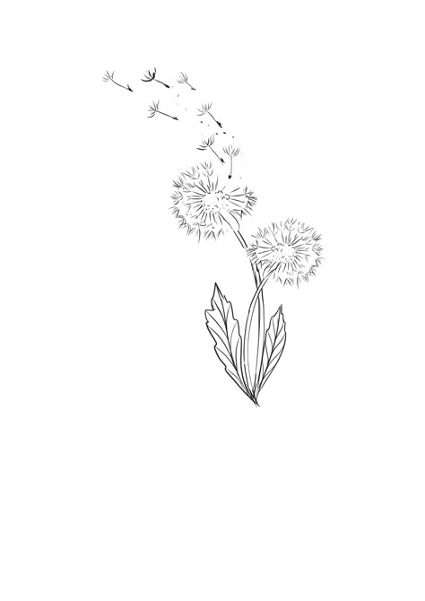 Blowing Dandelion Tattoo Simple, Dandilines Flower Tattoo, Dandelion Doodle, Blowing Dandelion Tattoo, Tattoo Spine, Dandelion Tattoo Design, Mouse Tattoo, Dandelion Drawing, Sparkle Tattoo