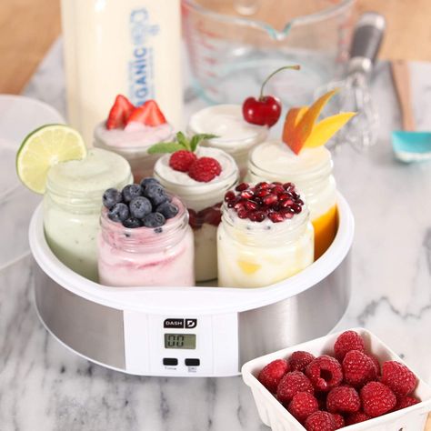 Dash Yogurt Maker Machine with Stainless #353 Yogurt Maker Recipes, Make Your Own Yogurt, Make Greek Yogurt, Homemade Greek Yogurt, Sorbet Ice Cream, Making Yogurt, Raspberry Yogurt, Healthy Probiotics, Honey Yogurt