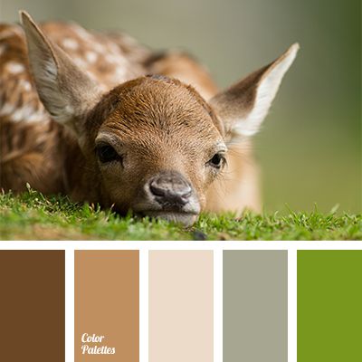 Warm shades of brown and green are suitable for the decoration of study or library. These colours will make you feel comfortable and relax with an interest. Fawn Colour Palette, Animal Color Pallete, Animal Color Palettes, Deer Color Palette, Fawn Color Palette, Animal Color Palette, In Color Balance, Color Palette Ideas, Nature Colors