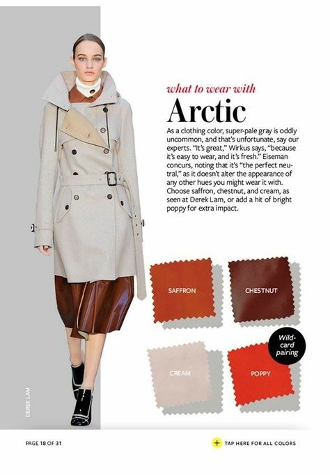 What to wear with the colour ARCTIC (grey) Color Crash Course, Instyle Color Crash Course, Color Compliments, Orange Outfits, Style Essence, Holiday Dressing, Colour Combinations Fashion, Color Combinations For Clothes, Color Guide