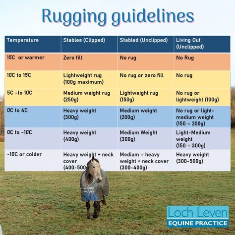 🍂Brrr, it's colder and wetter, but before you reach for the rugs have a look at our guide to rugging your horses and ponies. It is easy… | Instagram Equestrian Jumping, Horse Rug, Horse Exercises, Horse Rugs, Maintain Weight, Rug Guide, Pets 3, Tack Room, Horse Stuff