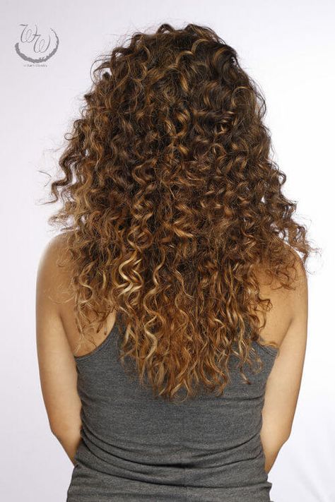 long-curly-hair-back-view Long Curly Hair Back View, Curly Hair Back View, Brown Curly Hair With Highlights, Curly Hair With Highlights, Pretty Highlights, Dark Brown Curly Hair, Hair Back View, Awesome Hair Color, Medium Curly Haircuts