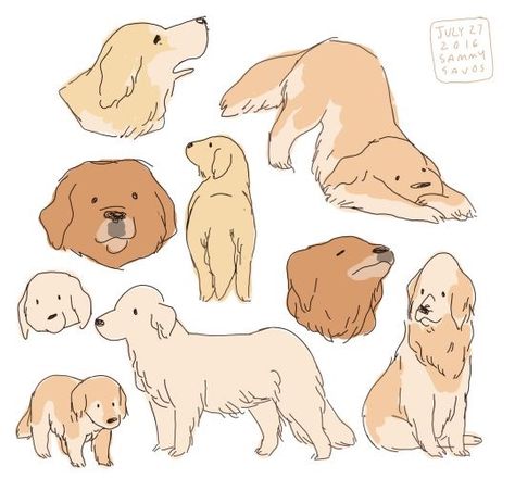 Cute drawings of doggos Golden Retriever Drawing, 강아지 그림, Arte Inspo, Poses References, Dessin Adorable, Dog Illustration, Animal Sketches, Arte Animal, Dog Drawing