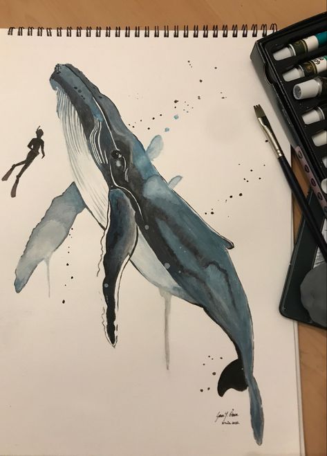 #amateurpainting #gouachepainting #bluewhale Whale Shark Watercolor, Blue Whale Drawing, Whale Sketch, Expressive Drawing, Whale Drawing, Whale Painting, Animals Drawing, Rock Painting Designs, Marine Biology