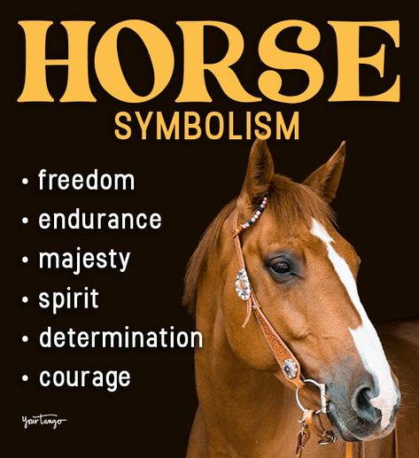 Horse Symbolism & Spiritual Meanings Of Horse Spirit Animal | YourTango Horse Symbolism, Horse Spirit Animal, Horse Spirit, Female Horse, Animal Spirit Guides, Year Of The Horse, Animal Symbolism, Your Spirit Animal, Horse Tattoo