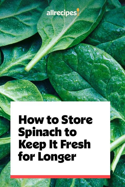 How To Freeze Spinach Leaves, How To Store Spinach In Fridge, How To Cook Spinach Leaves, How To Store Spinach, Freeze Spinach, Best Spinach Recipes, Fresh Spinach Recipes, How To Make Spinach, Cooking Spinach