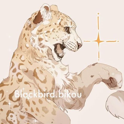 Clouded Leopard Art, Snow Leopard Anime, Fantasy Snow Leopard, Snow Leopard Oc, Snow Leopard Drawing, Snow Leopard Art, Leopard Drawing, Leopard Art, Big Cats Art