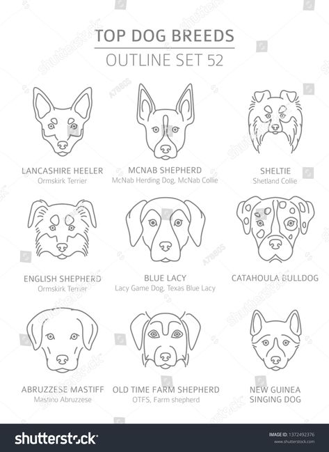 Top Dog Breeds, Felt Dogs, Companion Dog, Tattoo Outline, Vector Graphics, Door Hangers, Hangers, Dog Breeds, Stock Vector