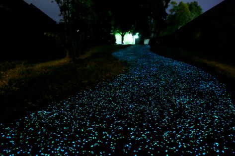 How To Make A Glow-In-The-Dark Path Or Driveway Glow Rock, Gravel Walkway, Exposed Aggregate Concrete, Pool Plaster, Glow Stones, Pedestrian Walkway, Concrete Fire Pits, Green Acres, Easy Backyard