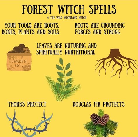 Forest Witchcraft, Nature Witchcraft, Druid Witch, Witch Types, Wild Witch, Every Witch Way, Nature Witch, Witch Rituals, Forest Witch