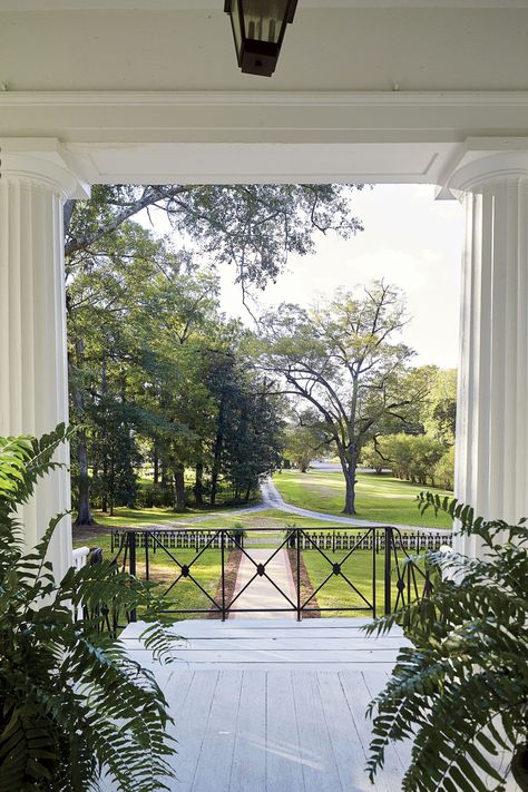 WATCH: This 22-Year-Old Restored Her Family's 1832 Home In Alabama Southern House Plans With Porch, Southern Front Porches, 1900s House, New Build House, Greek Revival Architecture, Greek Revival Home, Porch Life, Double Staircase, Build House