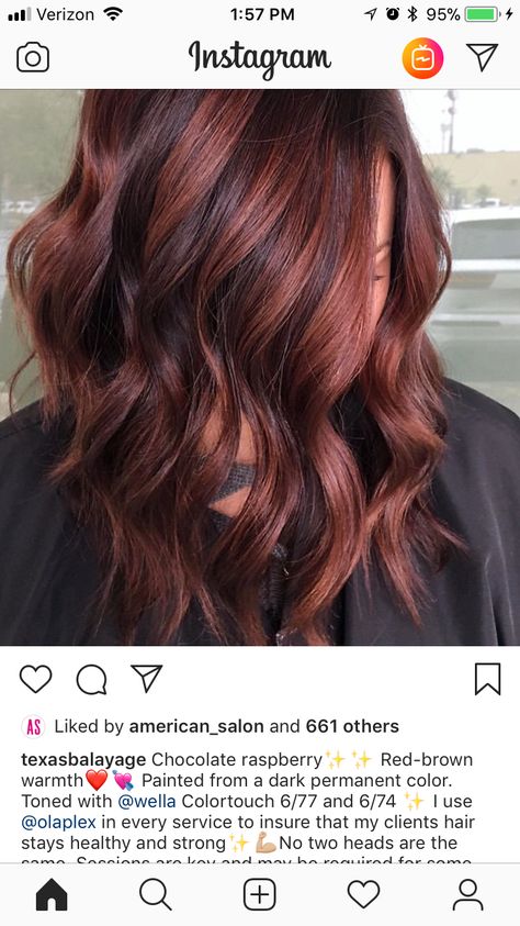 Raspberry Brown Hair, Level 6 Brown Hair, Dark Red Brown Hair, Brown Hair With Red Highlights, Dark Red Hair With Brown, Raspberry Hair Color, Brown Hair With Red, Hair With Red Highlights, Red Highlights In Brown Hair