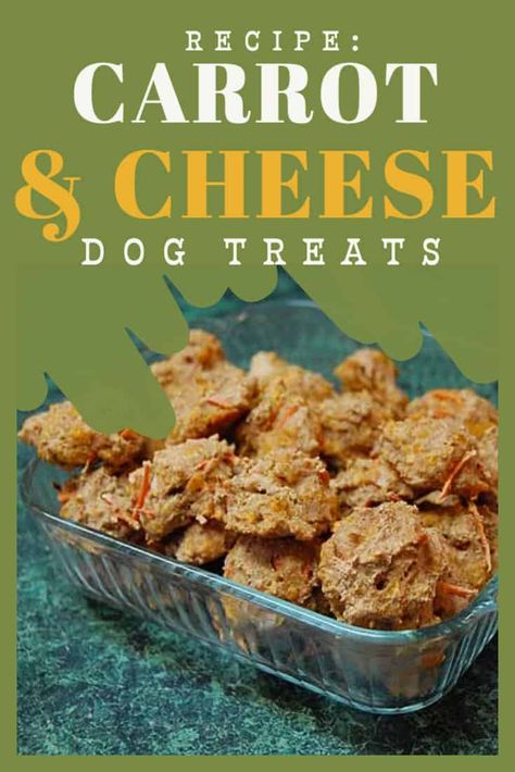 Carrot and cheese dog treats recipe Mashed Carrots Recipe, Carrot Dog Treats, Barkuterie Board, Cheese Dog Treats, Canned Carrots, Dog Treat Business, Dog Treats Recipe, Carrot Dogs, Treat Business