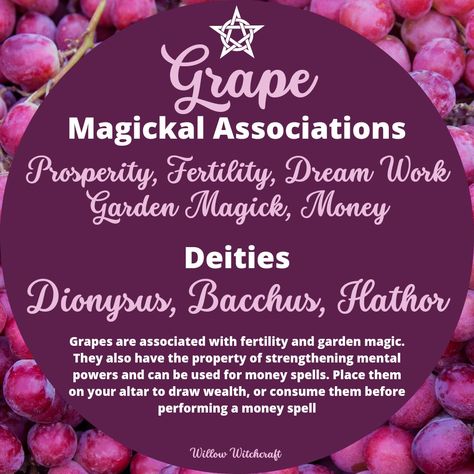 Apple Magical Properties, Fruit Meaning Witchcraft, Pomegranate Witchcraft, Fruit Magical Properties, Fruit Magic Witchcraft, Fruit In Witchcraft, Magical Properties Of Fruits, Grapefruit Magical Properties, Fruit Magickal Properties