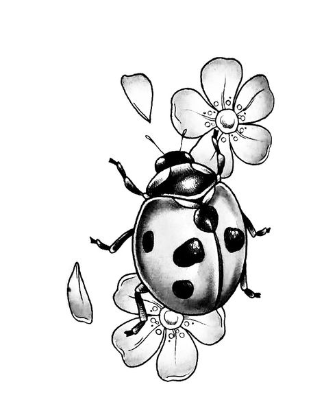 Ladybird Drawing, Bugs Drawing, Lady Bug Tattoo, Bug Tattoo, Insect Tattoo, Wood Burning Crafts, White Lilies, Tattoo Stencils, Digital Stamps