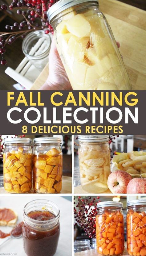 Whether you are canning from your own fall harvest, or from store sales, this collection of fall canning recipes and ideas will help you save money and get stocked up for the whole year! #Recipes #Canning #Homesteading Fall Canning Ideas, Fall Canning, Freezing Recipes, Water Bath Canning Recipes, Food Canning, Pressure Canning Recipes, Food Preserving, Canning Pickles, Canning Fruit