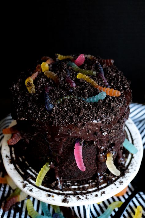 Worm Cake, Chocolate Dirt, Vegan Pudding, Dirt Cake, Gummy Worms, Chocolate Sandwich, Chocolate Sandwich Cookies, Cookie Crumbs, Round Cake Pans