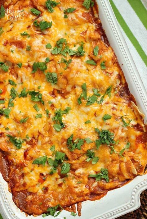 Enchirito Casserole, Red Enchilada Casserole, Layered Enchilada Casserole, White Corn Tortilla Recipes, Enchilada Casserole Corn Tortillas, Ground Beef Enchiladas With Red Sauce Corn Tortillas, Corn Tortilla Cheese Enchiladas, Corn Tortilla Casserole, Cheese Enchiladas Corn Tortillas